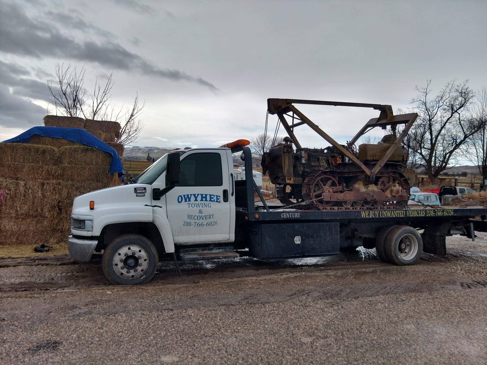 473411428 589909357131822 1724473148576782557 N