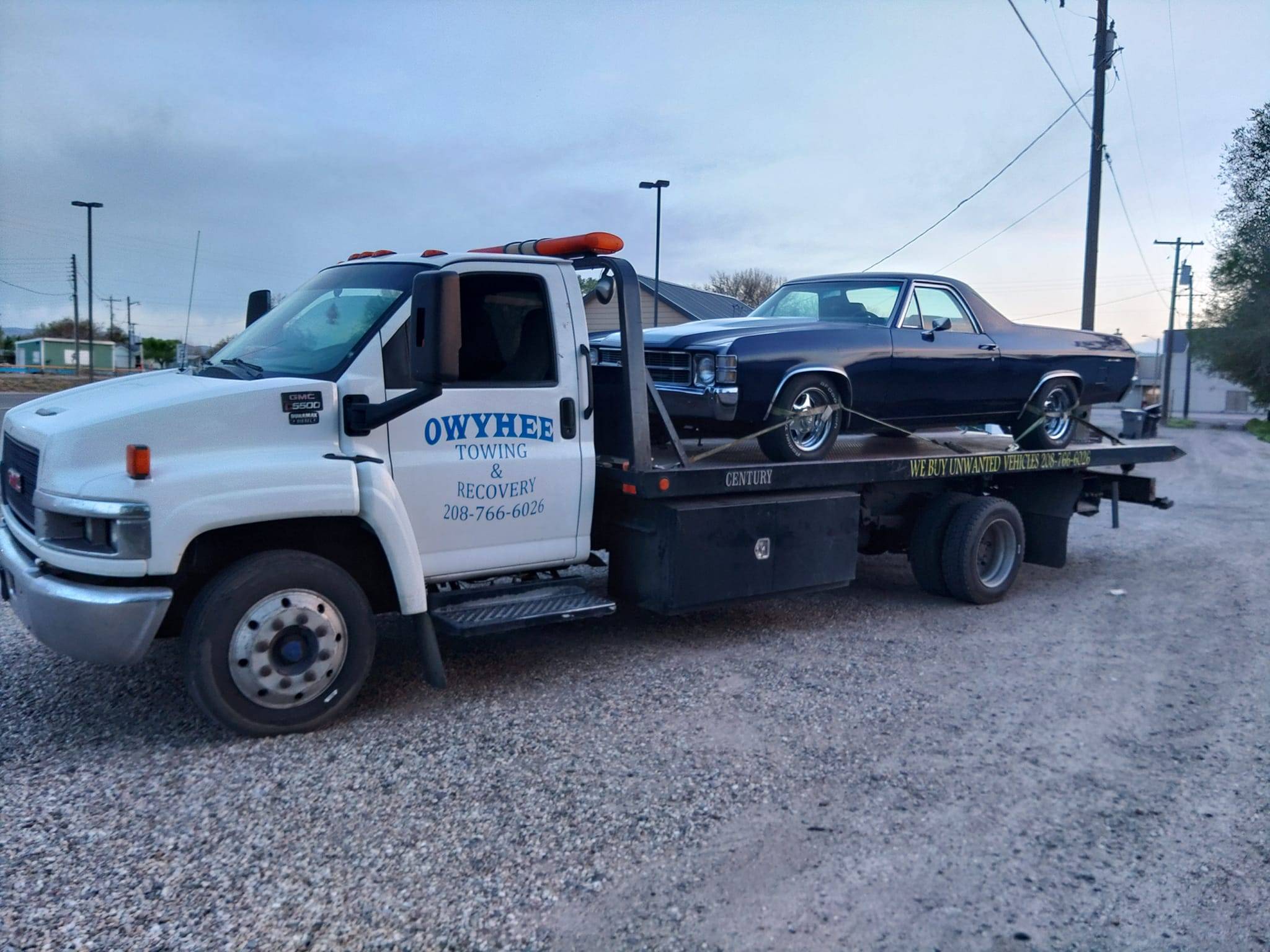 475314184 600816622707762 1202029299982513023 N